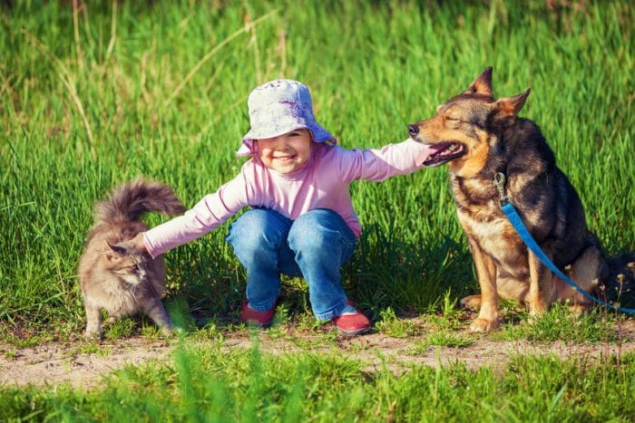 Pets in children with autism