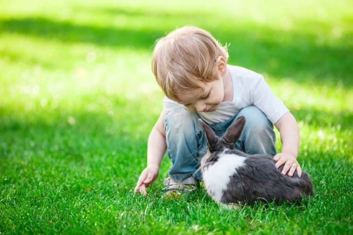 Children direct contact with animals experience