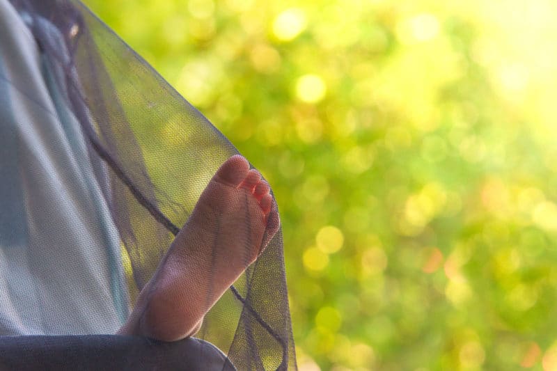 The best baby mosquito nets of 2022
